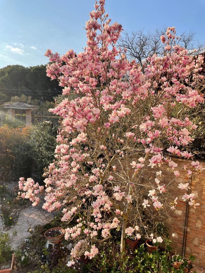 曾几何时住宿加早餐旅馆 佩鲁贾 外观 照片